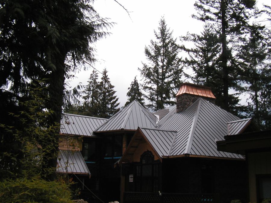 Metal_Roofing12